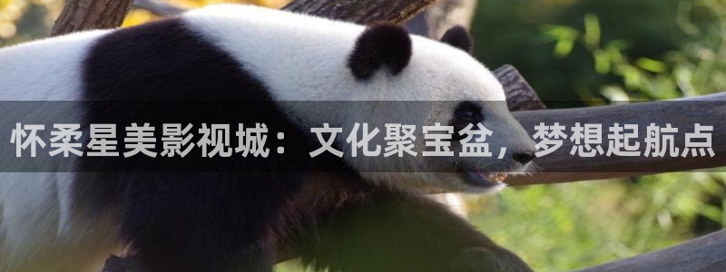 草民影院电视剧免费播放最新章节