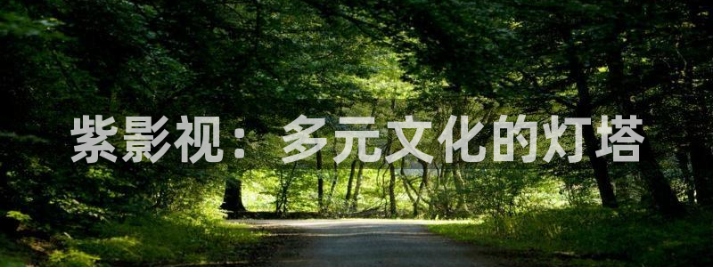 草民电影：紫影视：多元文化的灯塔