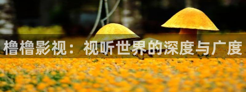 草民电影网